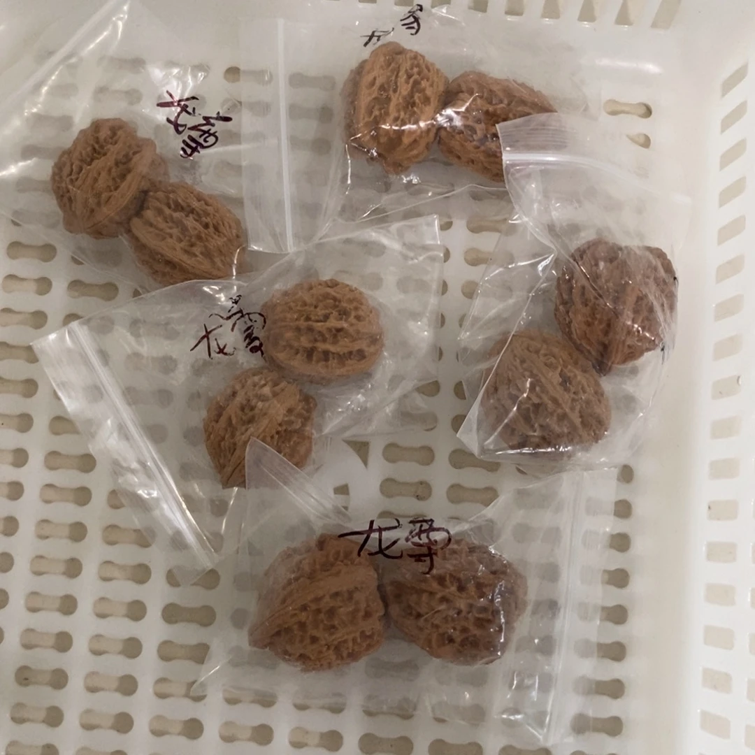 文玩核桃吊坠龙尊团购