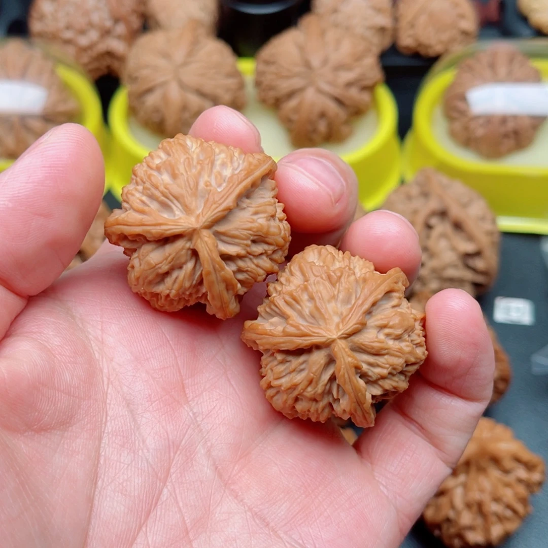 文玩核桃把件白狮子三棱35×34×34