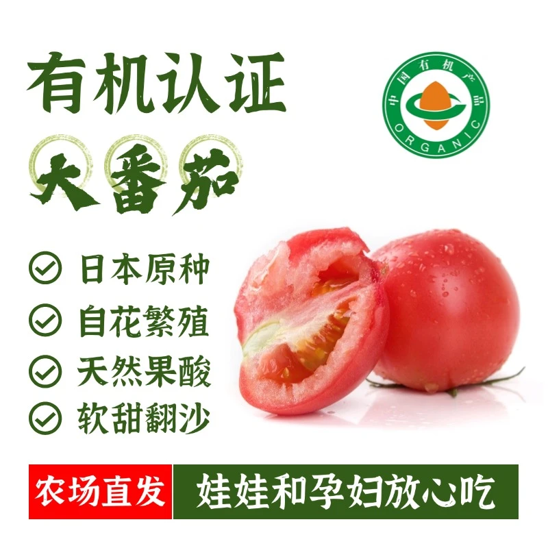 【零农残，零激素，零化肥】农场直发有机认证翻沙带籽皮薄西红柿番茄