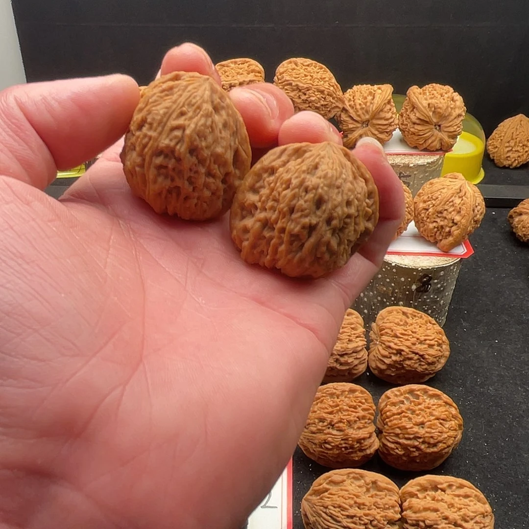 文玩核桃把件空*南疆核桃核桃文玩