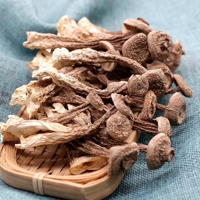 菇里巴巴古田特产鹿茸菇甄选鹿茸菌干货新鲜鹿茸菇香四溢脆菇蘑菇