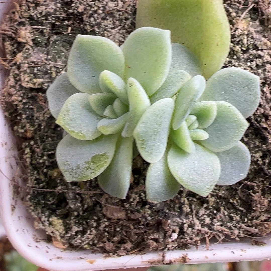 开播福利 财富密码12