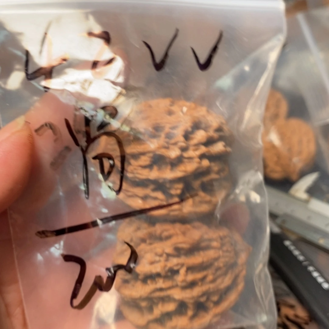 吊坠文玩核桃尚*11111111111111111