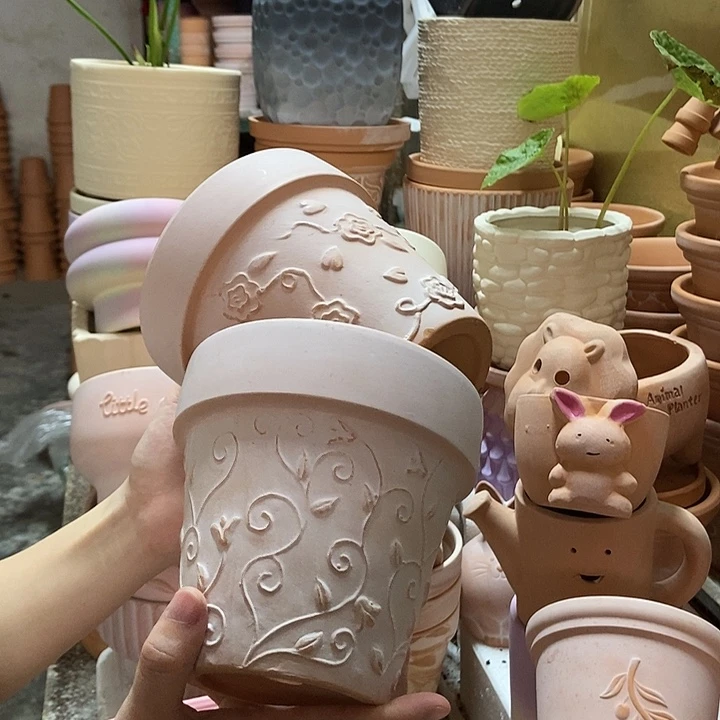 14×13雾化国际玫瑰+钩藤2个（微瑕）