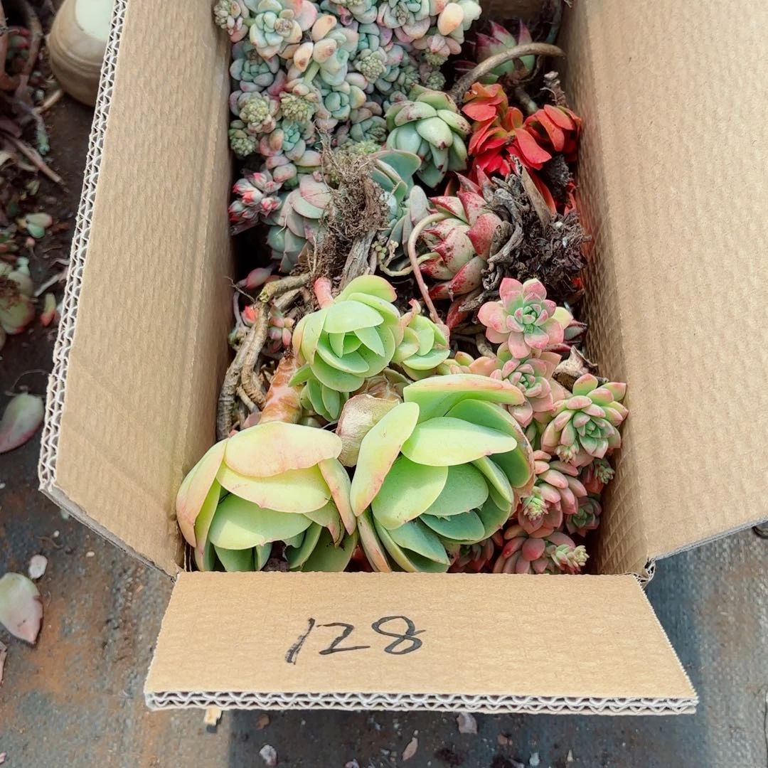 不****）不售后杂花128。