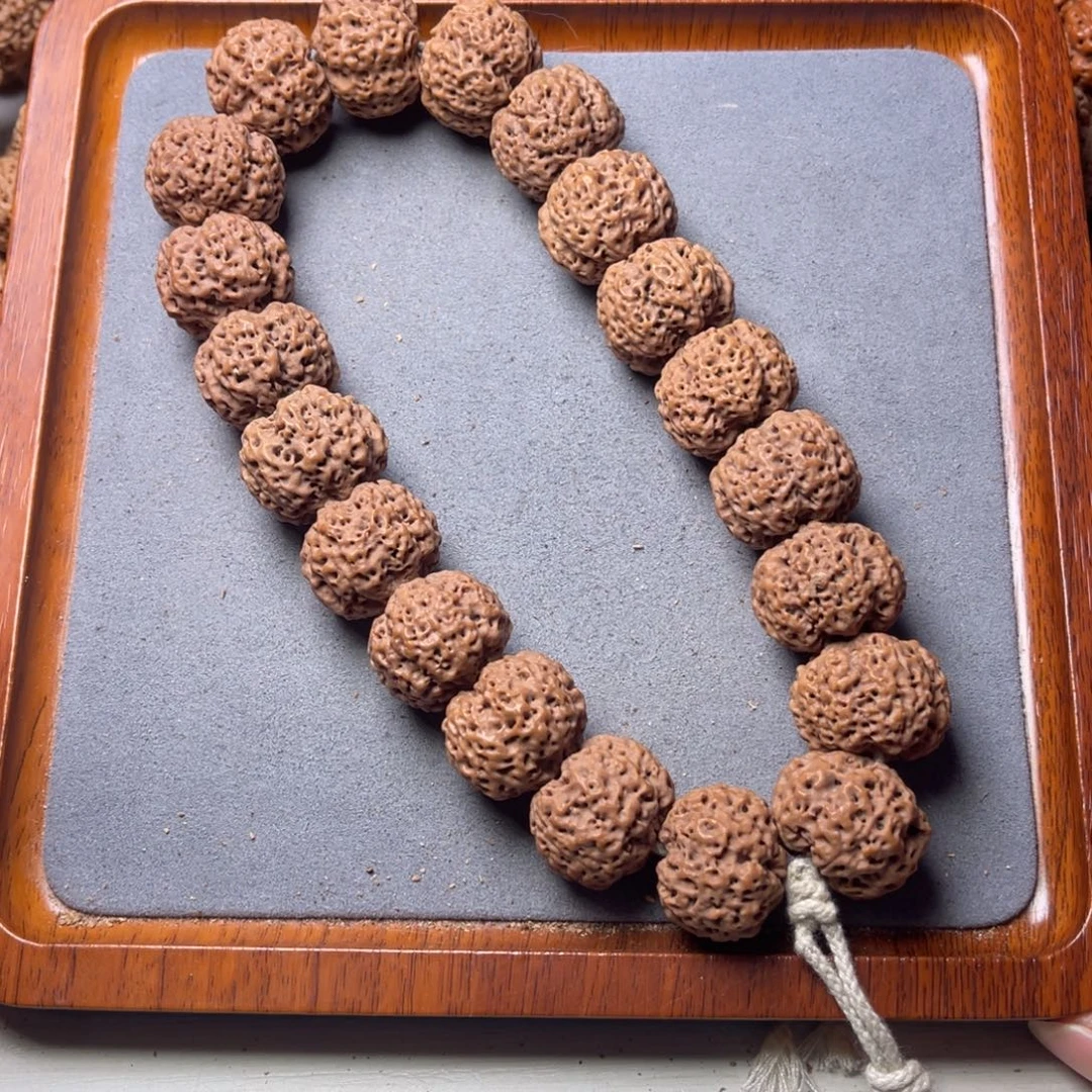 菩提籽类11号金刚菩提五星蜂王手持23