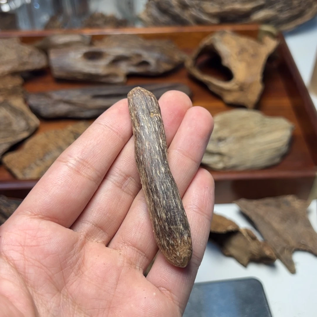 木陈**文（福利）瓜子料1.8克