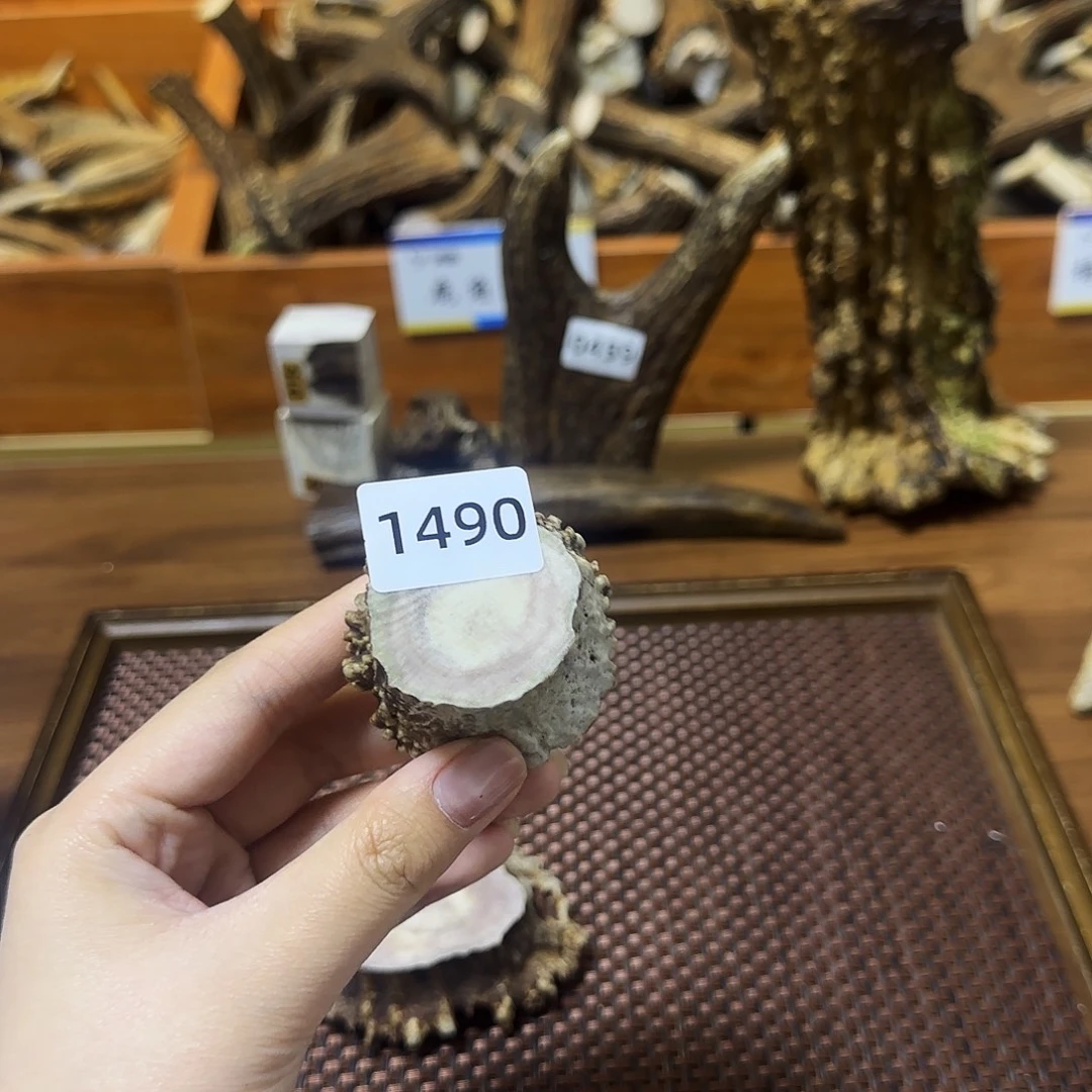 手串/手链鹿骨1490角帽