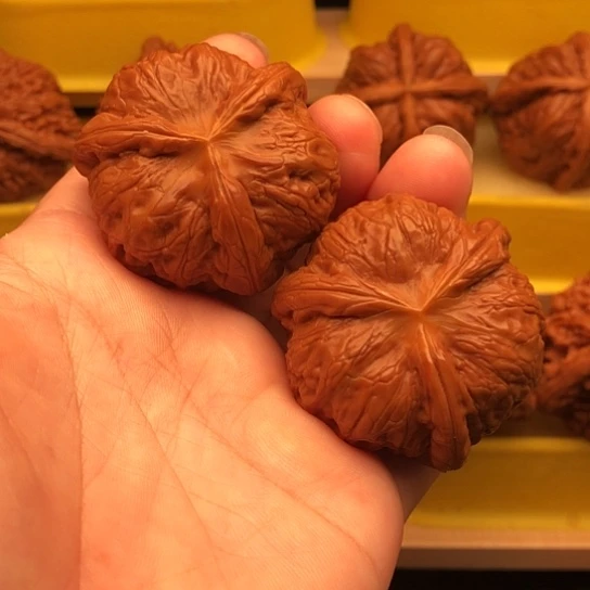 盘***性核桃核桃核桃咯核桃