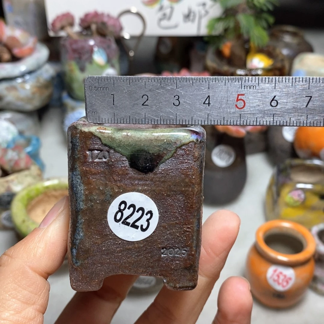 花盆拍3送一个小礼物