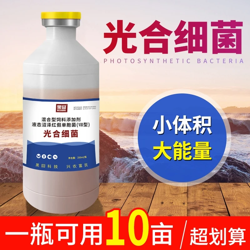 黑囧光合细菌水产养殖鱼虾蟹调水净水降解氨氮肥水培藻培养有益菌
