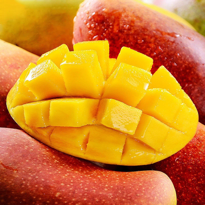 【同城快递】【仅长春四环内发货】【贵妃芒5斤】彩虹色果肉~冰吉林省