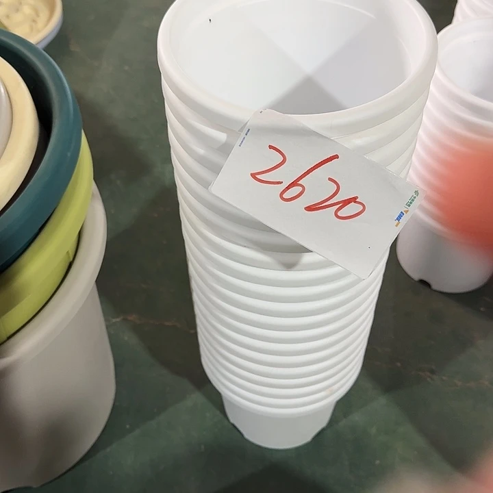 编号2620微瑕的10个