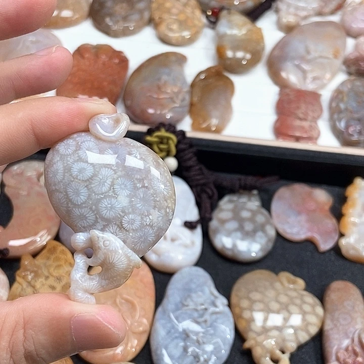 硅化珊瑚（珊瑚玉）未镶嵌颈饰