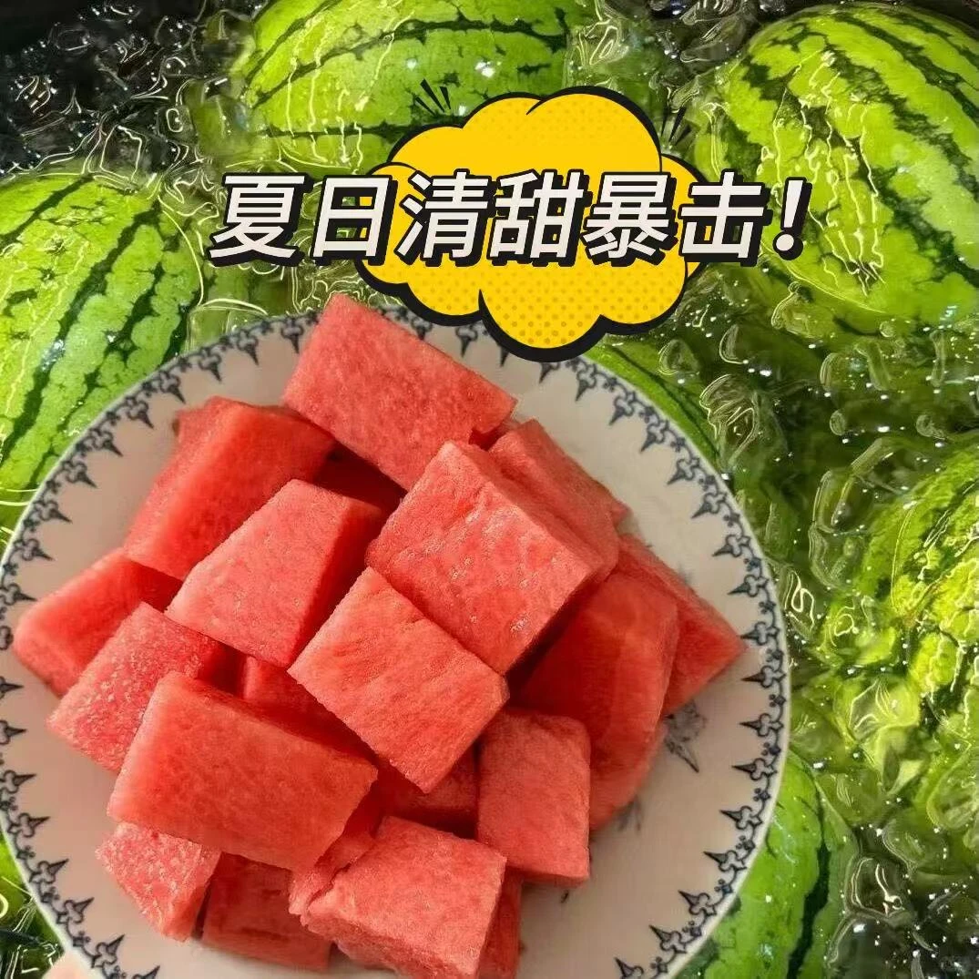 [一口甜到穿越童年北京庞各庄西瓜]皮薄多汁沙脆甜超级好吃报恩瓜