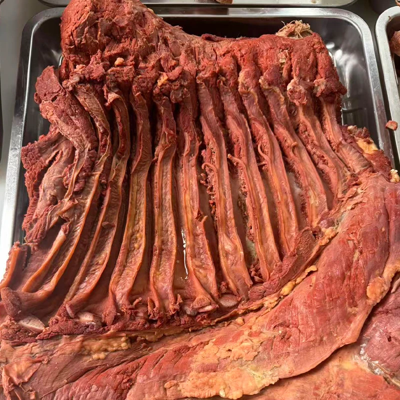 精选五香熟马肉【当天现卤】正宗河北特产马肉卤味熟食卤肉真空发货