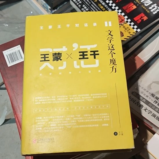 文学这个魔方，王蒙王干对。