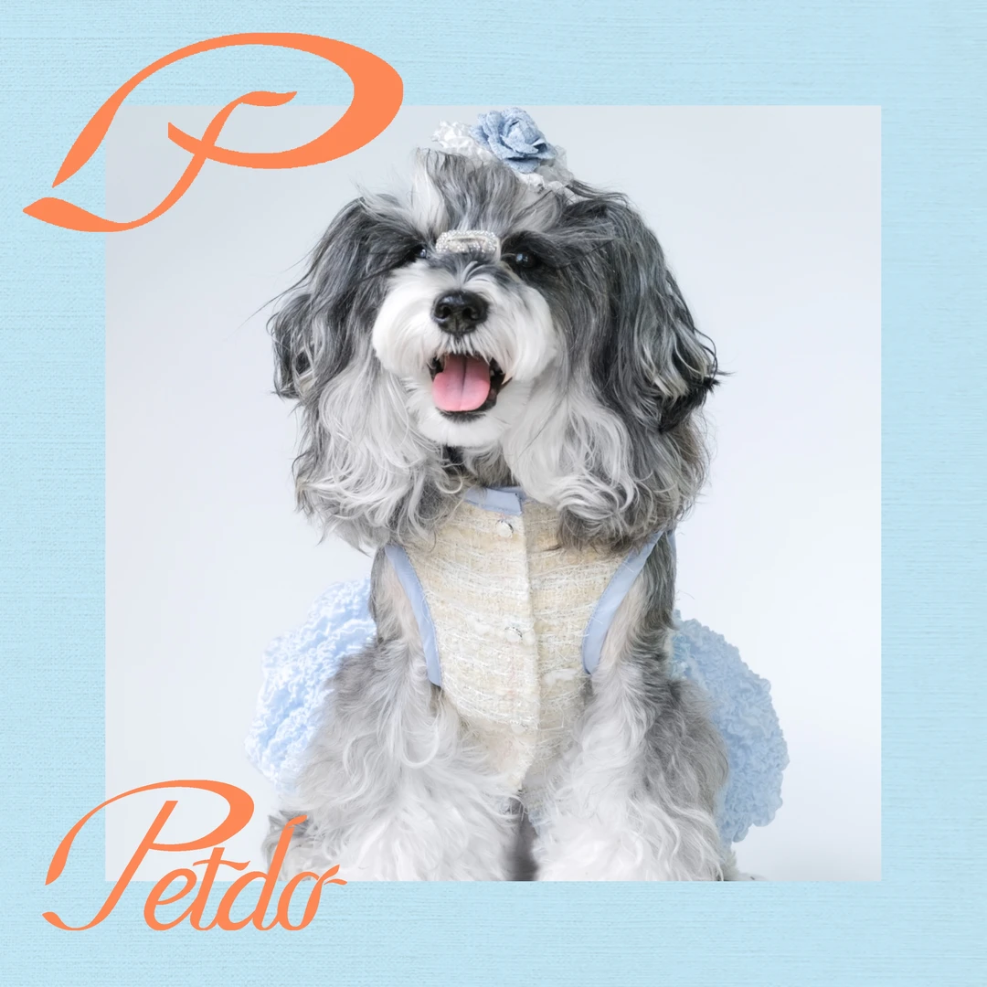 PetdoPetdo｜小香风连衣裙宠物衣服西施犬马尔济斯比熊雪纳瑞