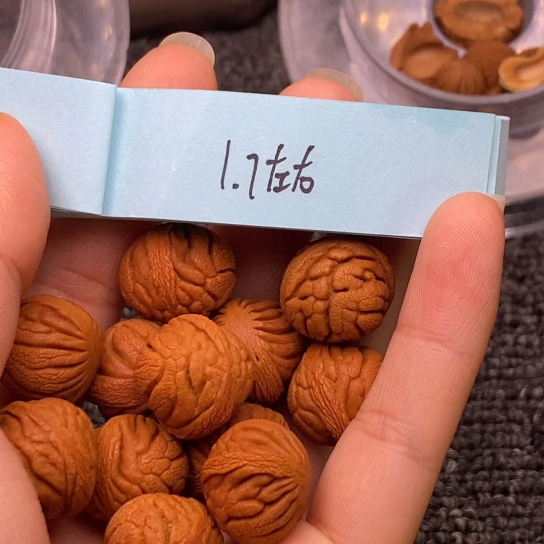 秦岭山脉龙纹桃核