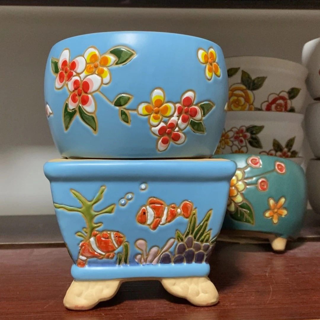 韩式多肉植物花盆