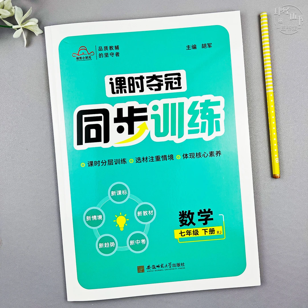 七年级下册数学同步训练初一数学教材同步专项训练课时同步练习册