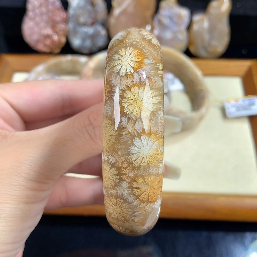 吊坠(赠链)未镶嵌硅化珊瑚（珊瑚玉）4号大花58圈口