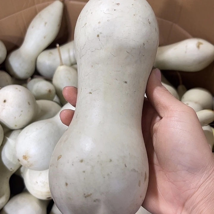 非洲紫檀（红花梨）腹***块