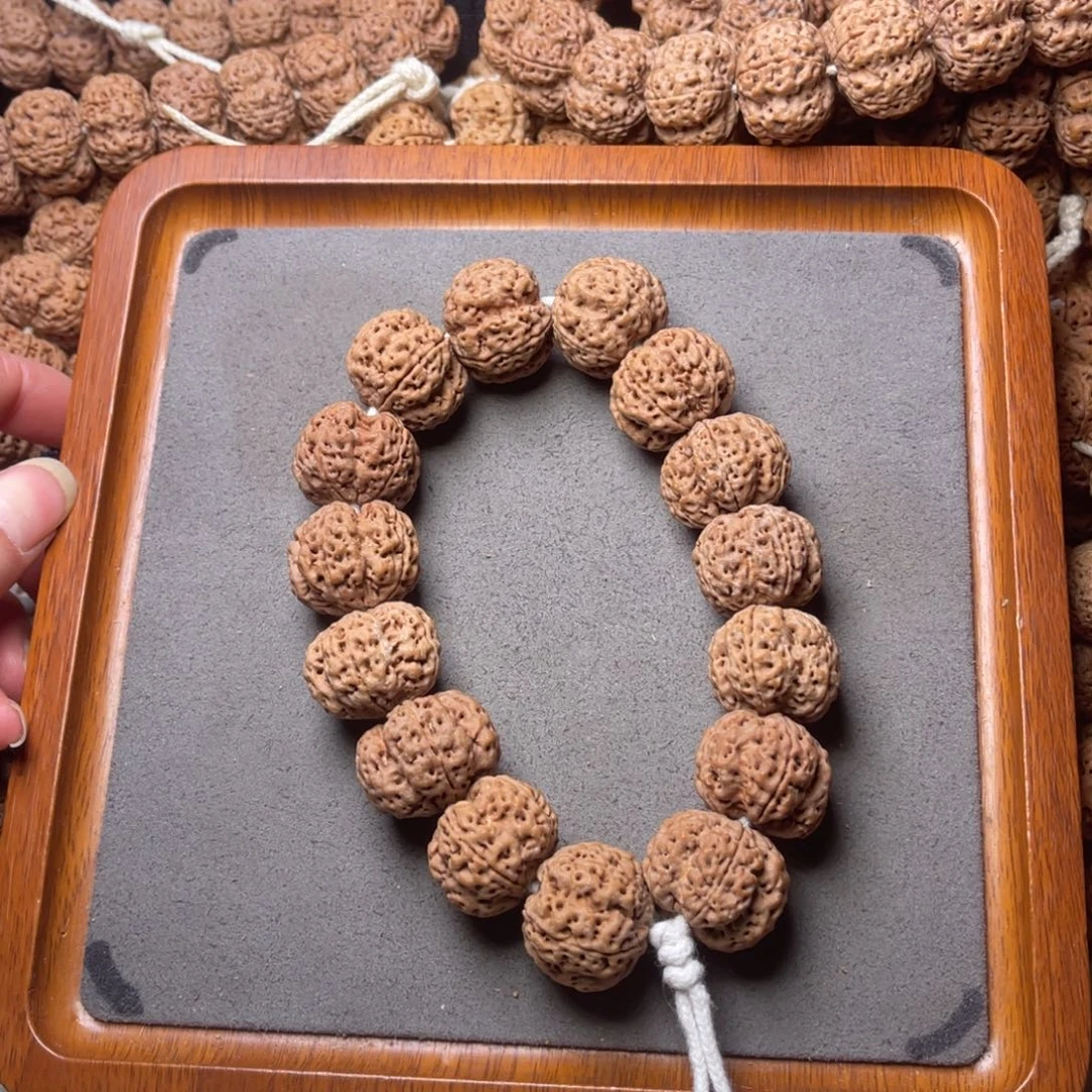 菩提籽类4号金刚菩提爆肉梁梅花23