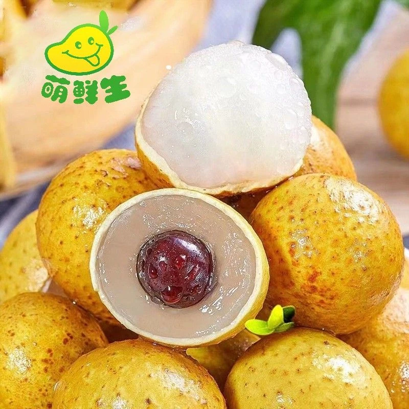 【精选鲜果】金标泰国小核龙眼250g
