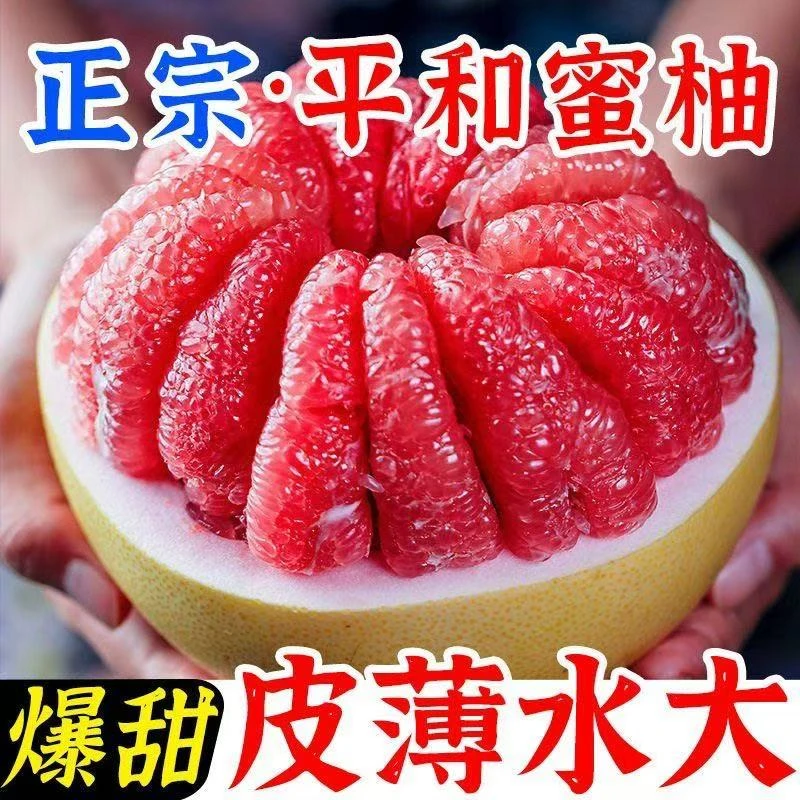 好货】福建平和琯溪红心柚新鲜蜜柚 当季水果 酸甜多汁 多仓发货