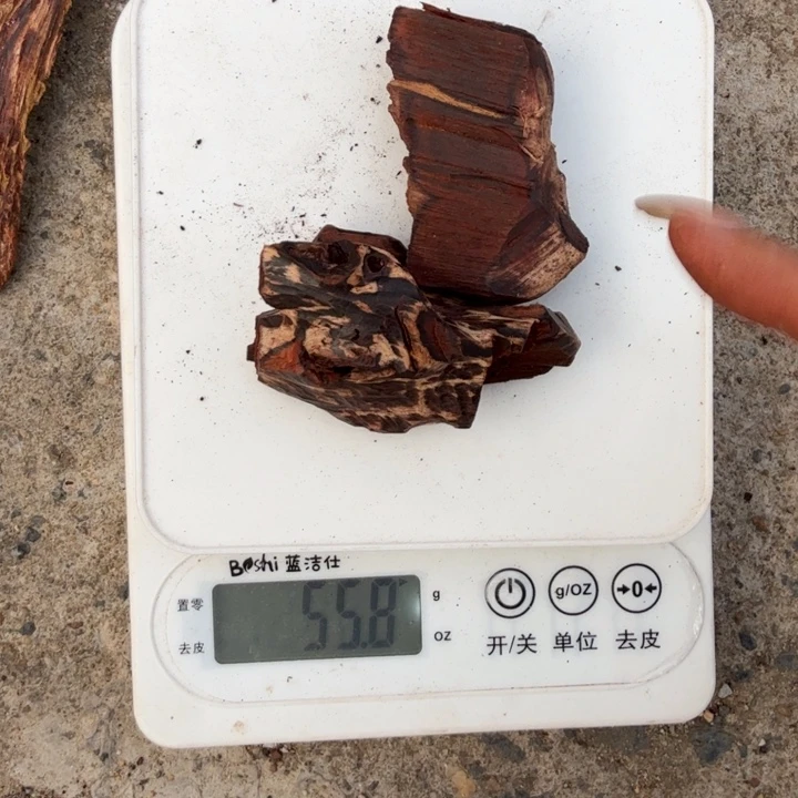 木本降真香海南红降花梨公55克