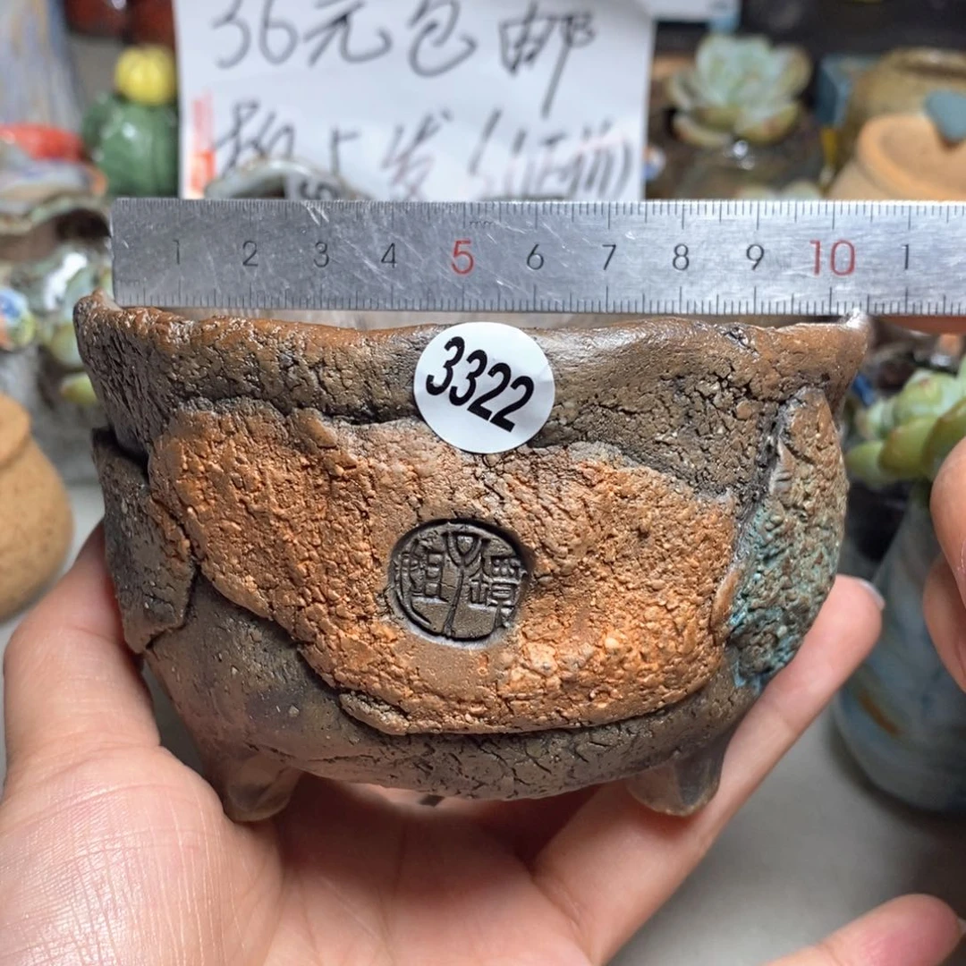 拍5送一个小礼物
