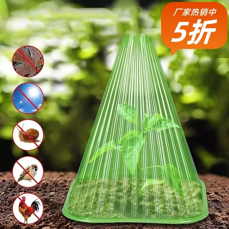 超大号PET材质绿色育苗护苗钟形保温防虫保护罩地钉支架保温薄膜