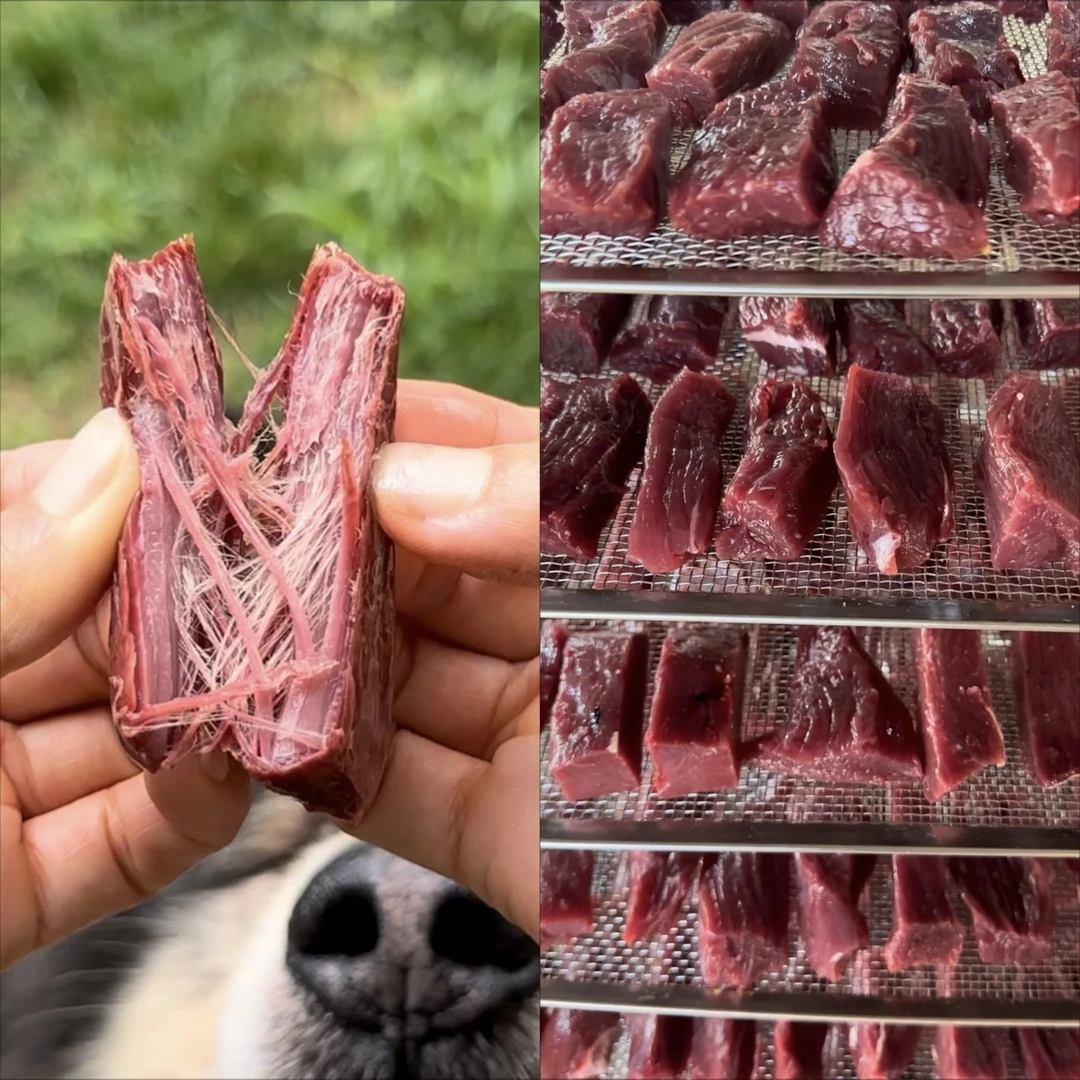 烘培鸵鸟肉宠物零食