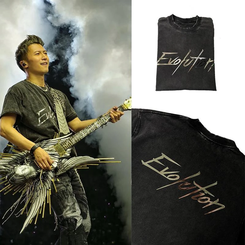 谢霆锋2025进化演唱会短袖t恤洗水做旧磨破半袖Evolution上衣