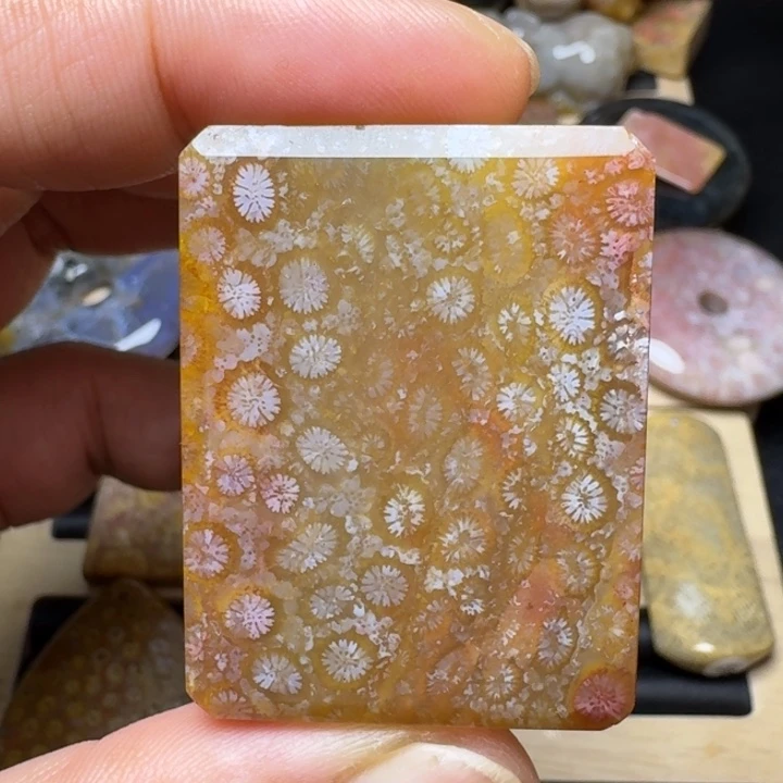 硅化玉未镶嵌纯天然色有机玉石保真色