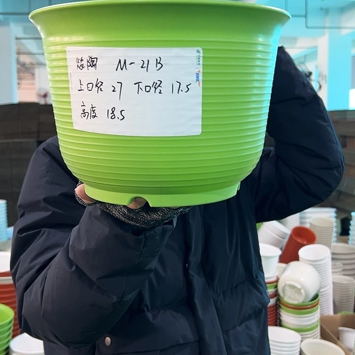 正品矮陶口27高18.5果绿无托6只