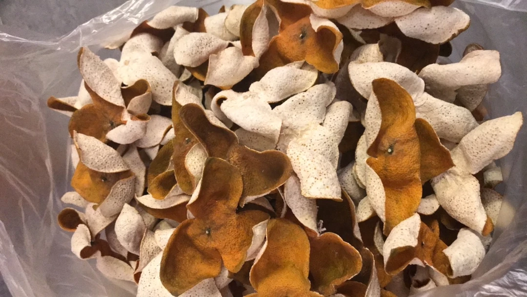 广西浦北 2024年 25年树龄 全生晒 特大果二红皮（收藏级别）