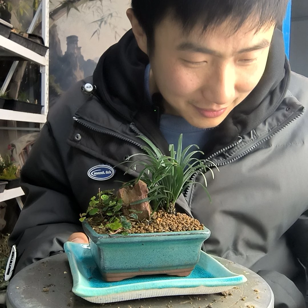 ?**乐小盆景小植物一物一拍163