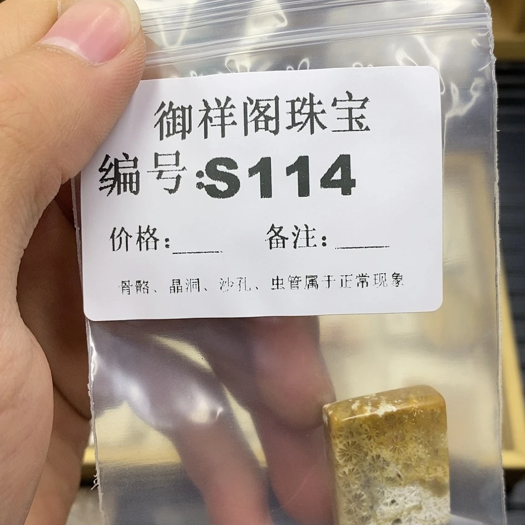 硅化珊瑚（珊瑚玉）未镶嵌颈饰读***华