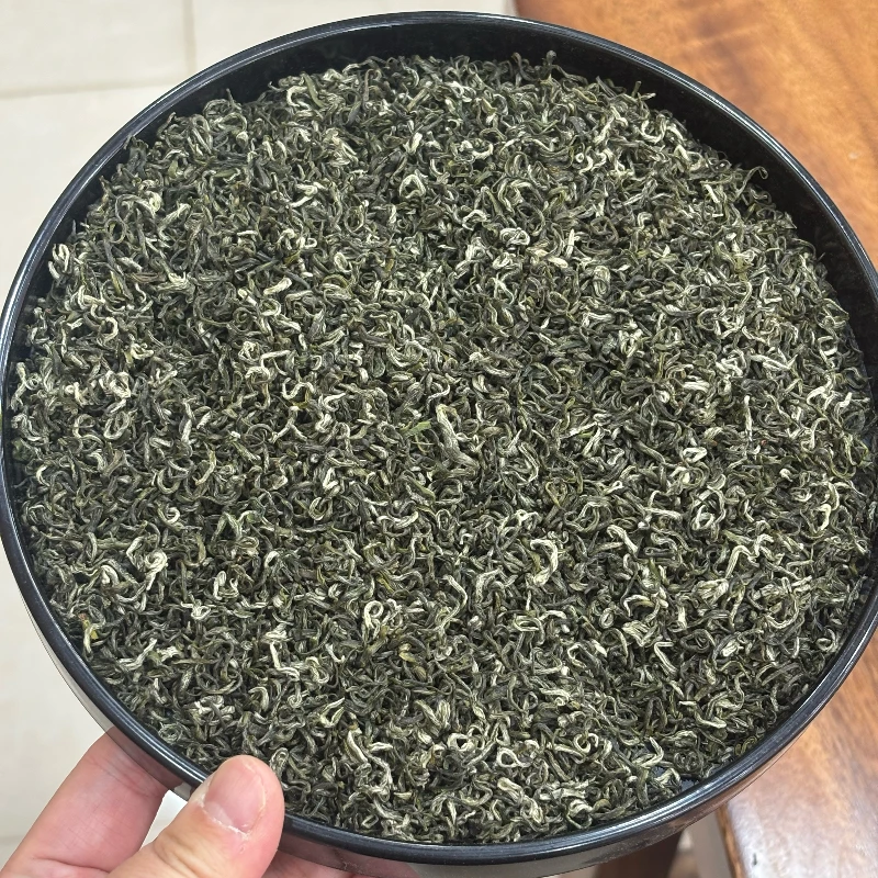 2025年新茶毛尖绿茶栗香味浓郁耐泡4.8