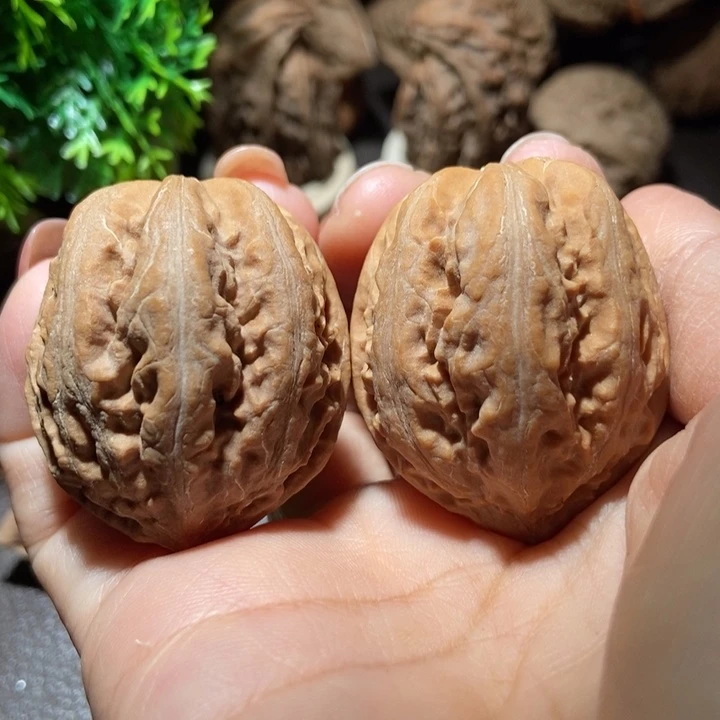 把件文玩核桃东北楸子小雪216