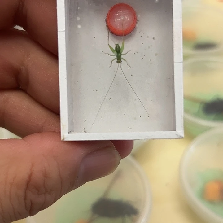 哈哈哈哈哈哈哈哈哈哈