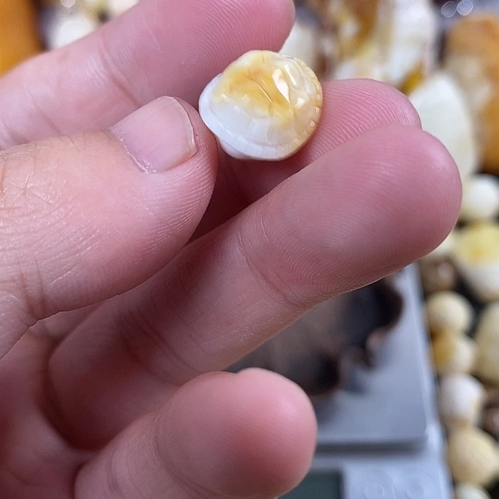 琥珀未镶嵌裸石我