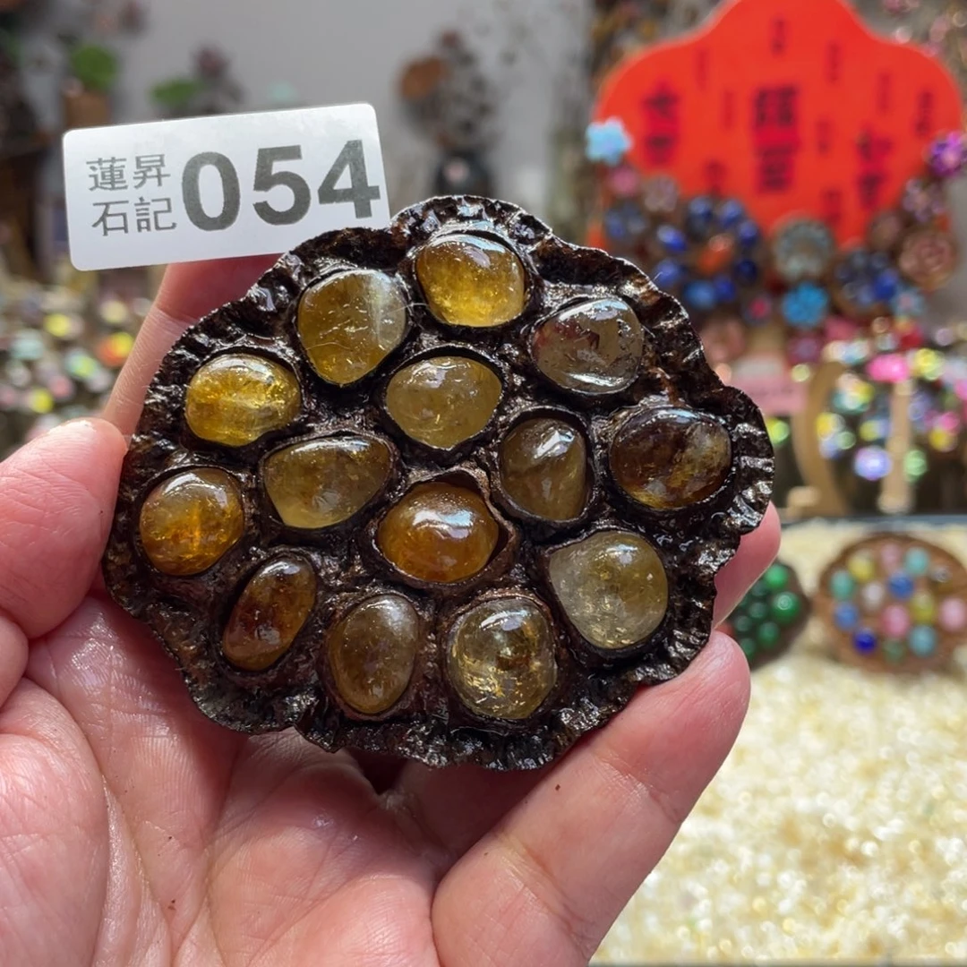 核桃木/黑胡桃（胡桃木）054