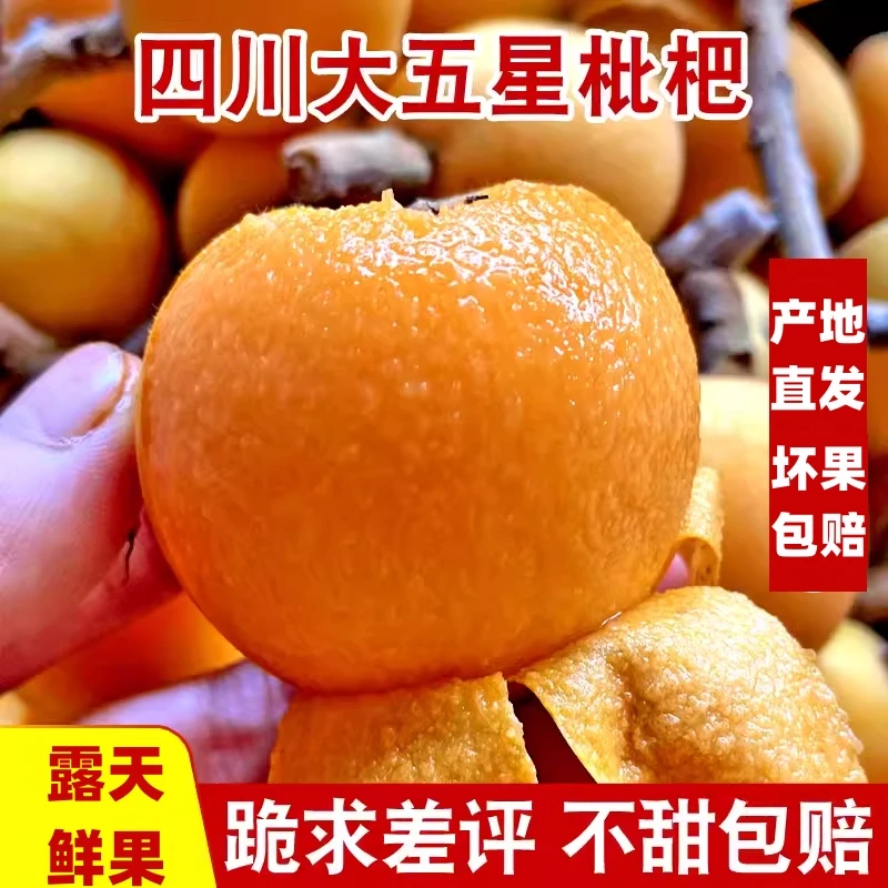 【四川大五星枇杷】SLH正宗土琵琶新鲜采摘果农直销直发坏果包赔K