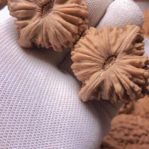 【闪购商品】桃核吊坠四座楼狮子头