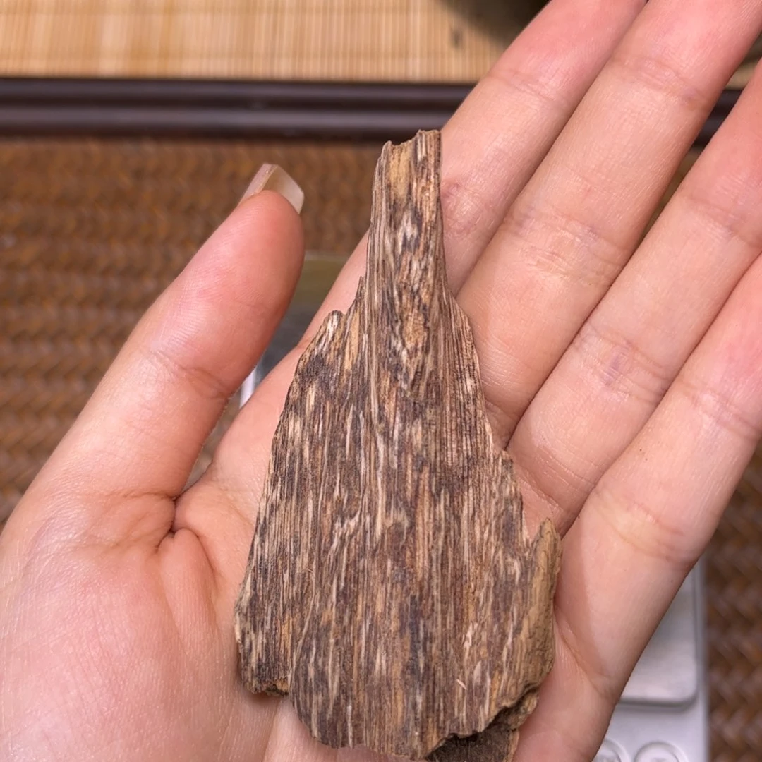香榧木海南尖峰岭淳化老虫漏5克开播福利