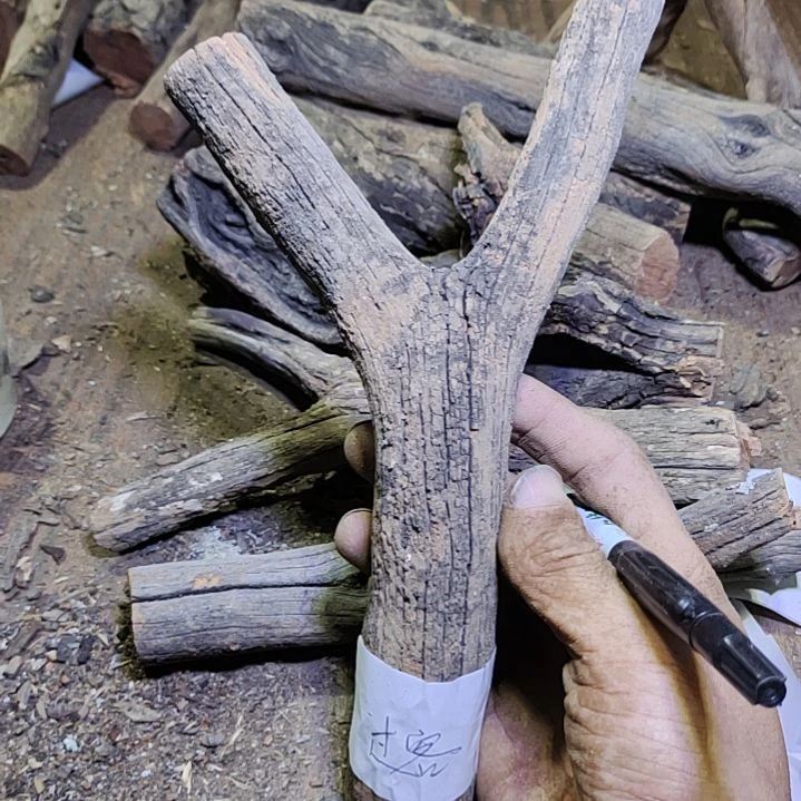 过***客火琉璃原杈不保沉水慎拍！