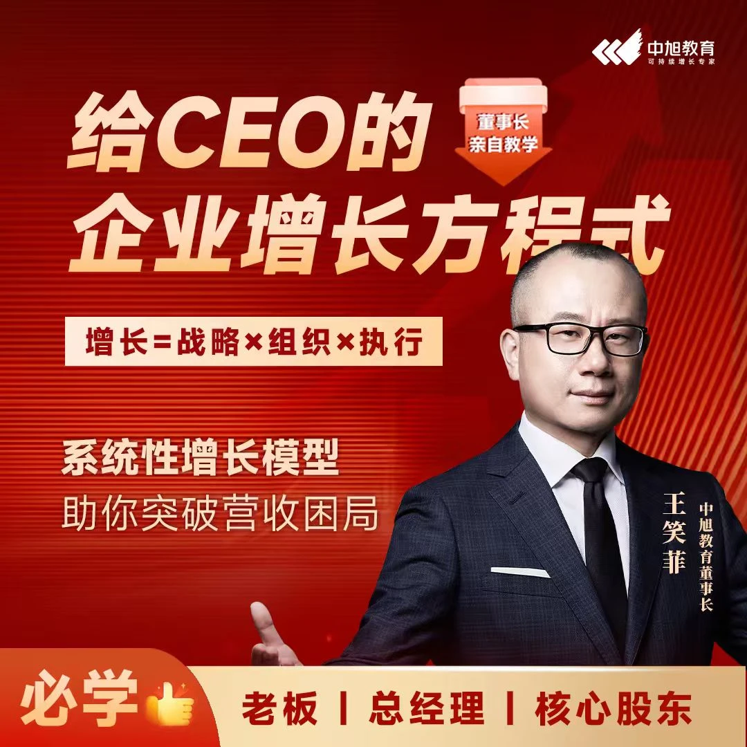 给CEO的企业增长方程式